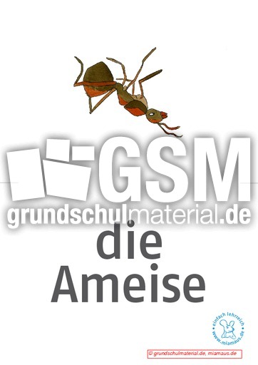 Bildkarten_d_Waldtiere 9.pdf